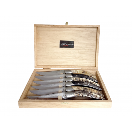 Coffret de 6 couteaux Stylver Origines - Corne de bélier