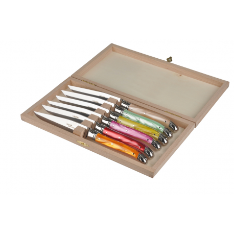 Coffret de 6 couteaux Laguiole Avantage - acrylique assortis