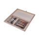 Set of 6 Laguiole Avantage knives