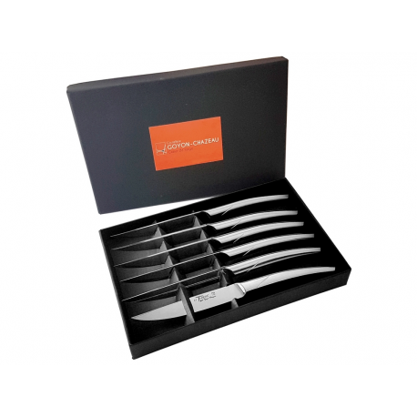 Coffret de 6 couteaux Le Thiers tout inox monobloc brossé