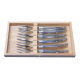Coffret 6 Fourchettes à poisson Laguiole tout inox Prestige brillant