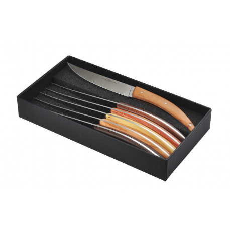 Boîte de 6 couteaux Stylver Brasserie - Bois assortis