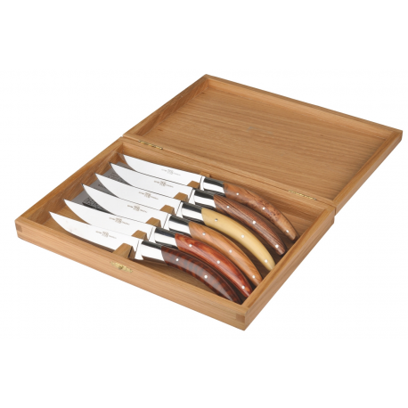 Coffret de 6 couteaux Stylver Avantage - bois assortis brilllant