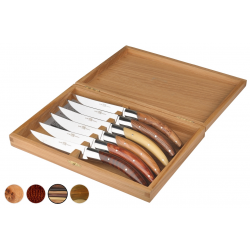 Coffret de 6 couteaux Stylver Avantage - bois assortis brilllant