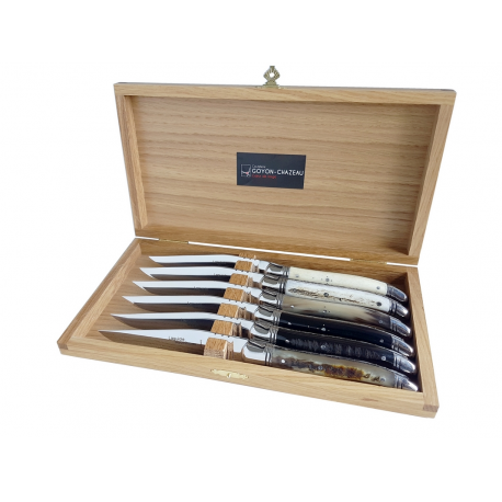 Coffret de 6 couteaux Laguiole Prestige - Cornes assorties