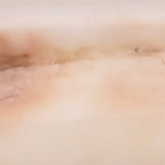 Ivoire de phacochère